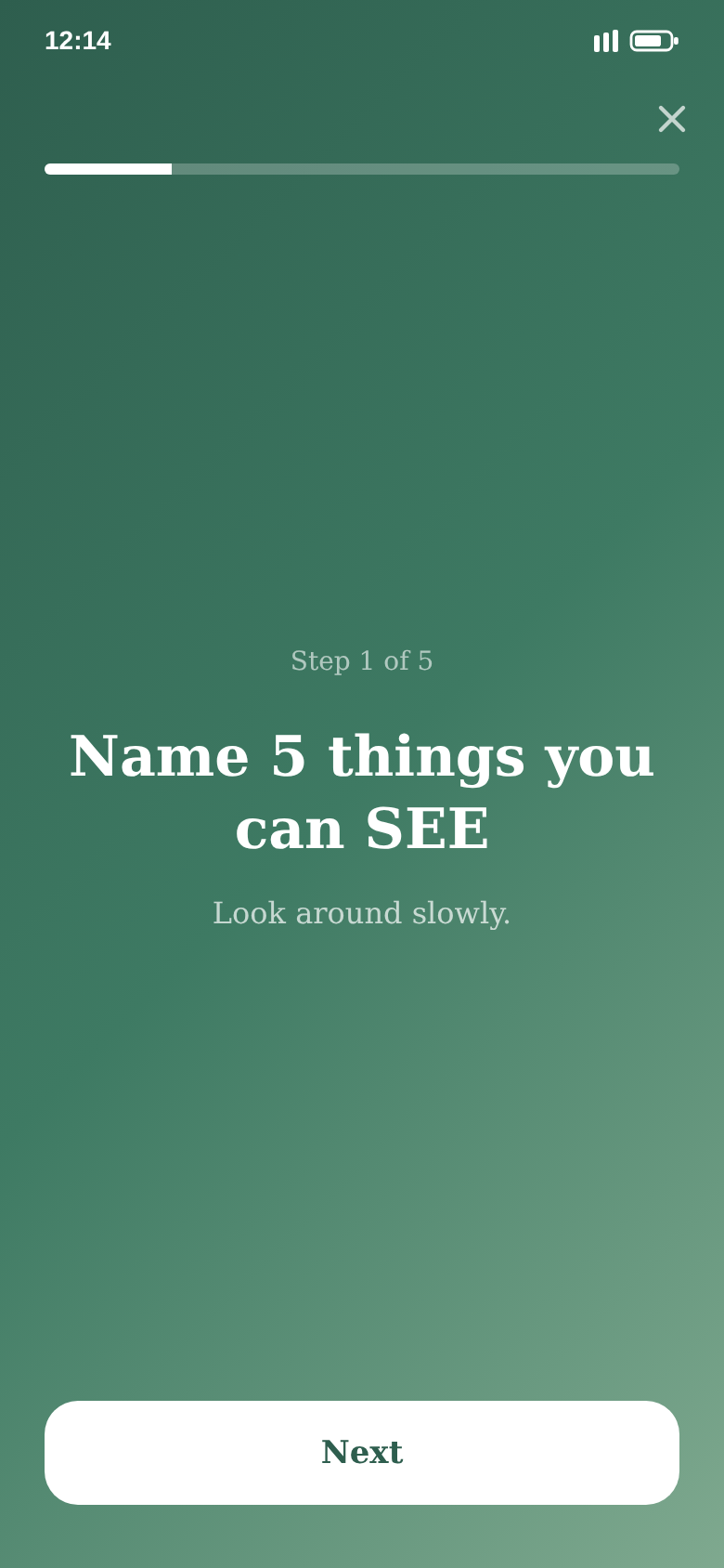 Grounding exercise, step 1 of 5: name five things you can see